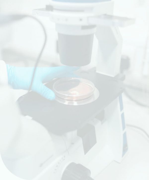 diagnosticlabherobg Sierra Molecular AssayAssure® Technology